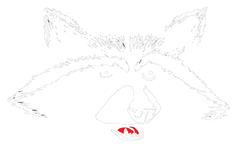 raccoon drawing logo